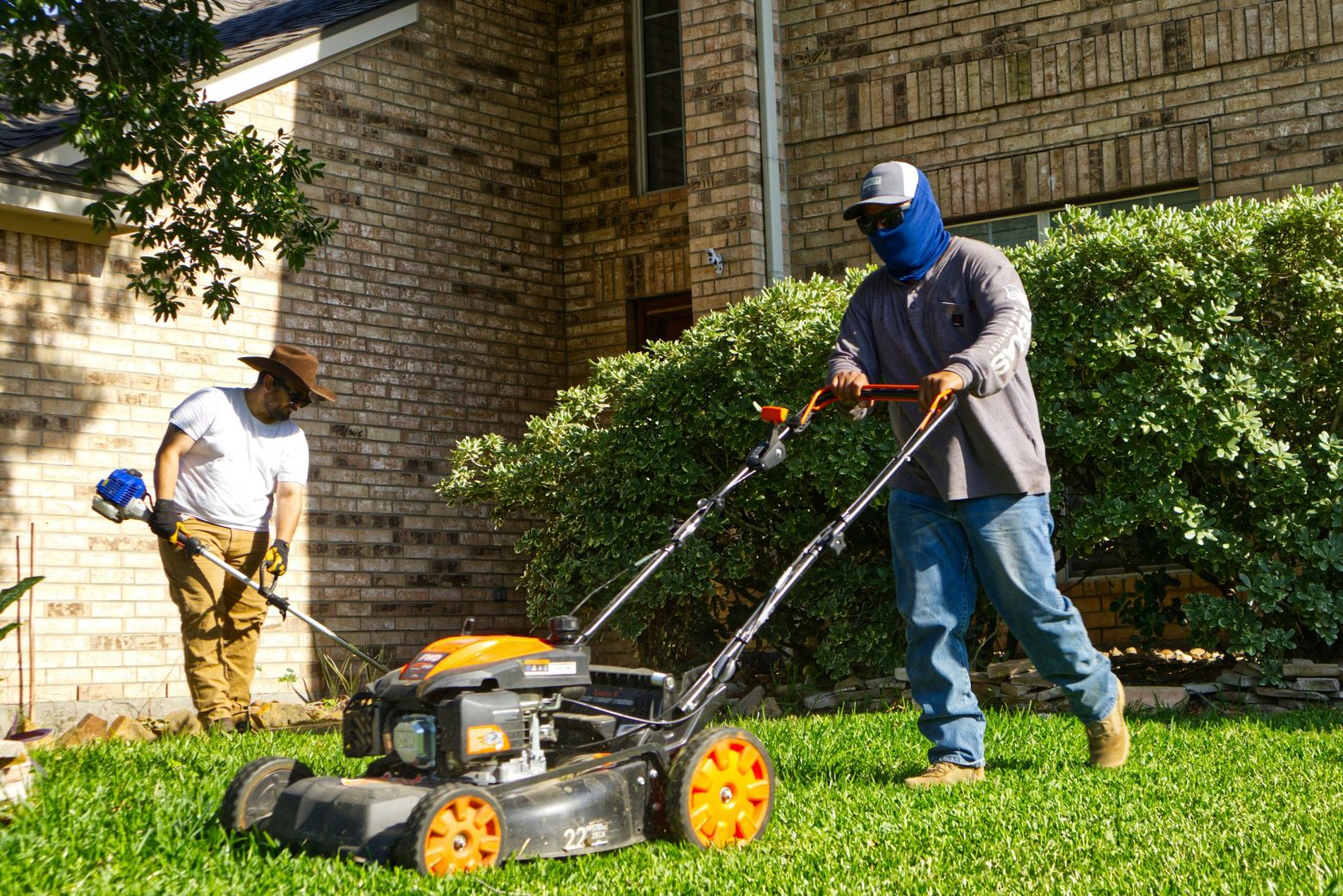 Pest Control in Fort Worth: Protecting Your Home From Common Texas Pests